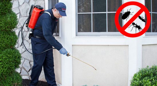 Pehlivanköy Bit İlaçlama böcek ilaçlama ve haşere kontrolü — ilaclama-tr.com